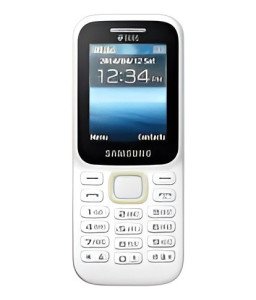 Samsung Guru Music 2 SM-B310E (White)